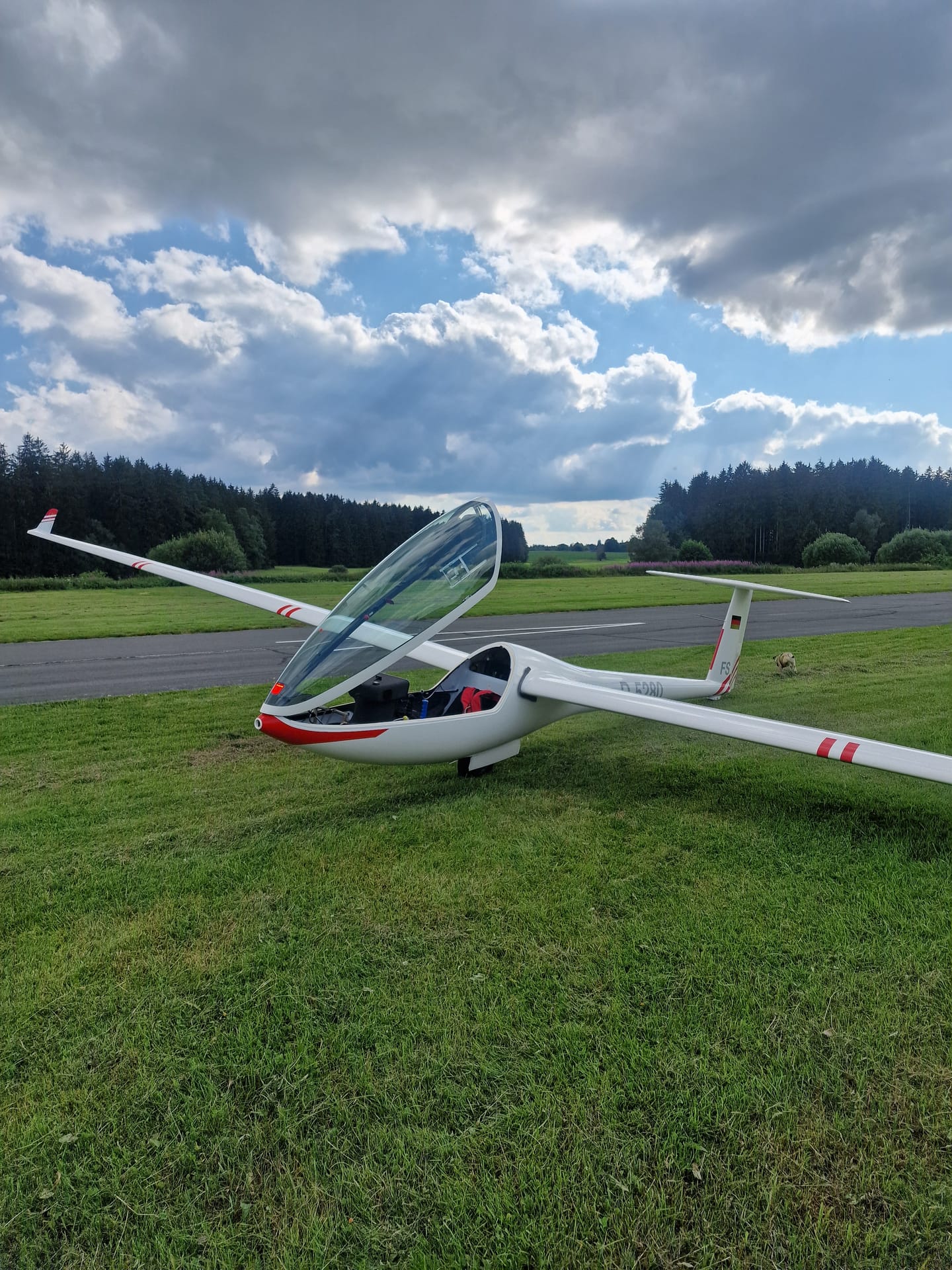 Segelflugzeug über Ottengrüner Heide